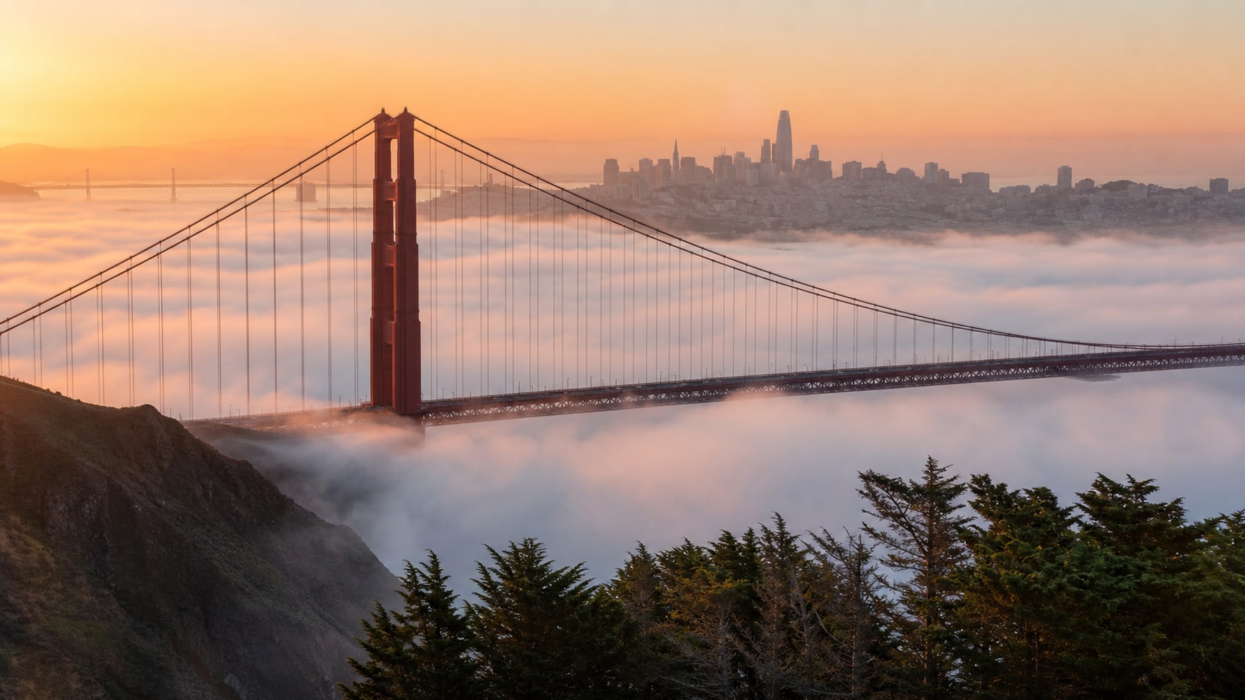 San Francisco: körfez boyunca beş günlük rota gezi rehberi